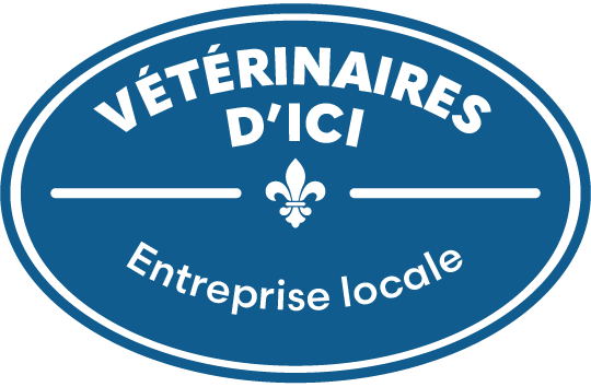 Vétérinaire dici